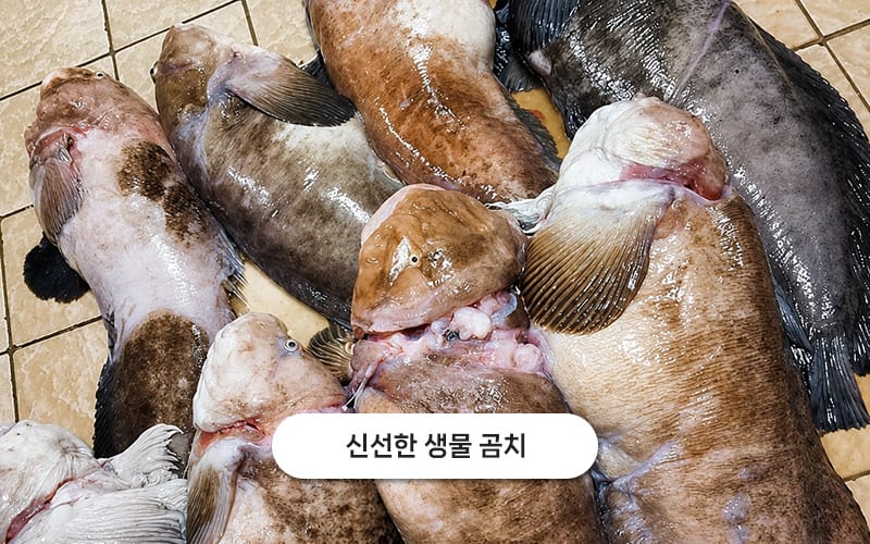 속초곰치국 갤러리 17